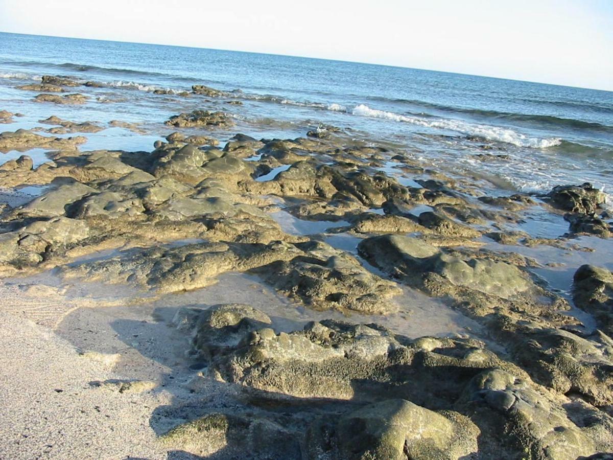 Cotillosand Buitenkant foto